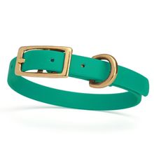 Dog Pet Collar with Brass Hardware Size XS W 1/2” L 9” - 12” Teal