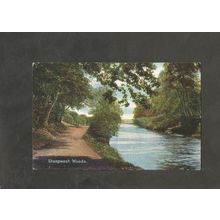 Postcard Birmingham Sheepwash Woods