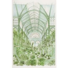 Covent Garden Flower Garden Transport Museum London Lithograph Postcard