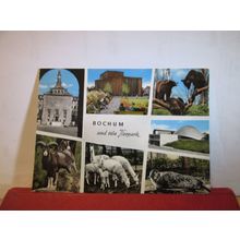 TIERPARK, BOCHUM, GERMANY used vintage postcard 1970 postmark =