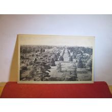 FROM THE PAGODA, ROYAL BOTANIC GARDENS, KEW LONDON unused antique postcard =