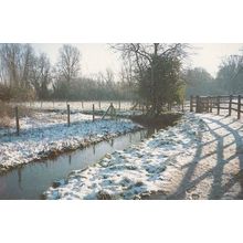 Knaresborough Smallbrook Nature Reserve in Winter Disaster Snow Postcard