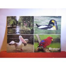 multiview, BIRDLAND, BOURTON-ON-THE-WATER, Gloucestershire unused postcard #