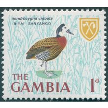 Gambia 1966 1d White-faced Whistling Duck SG234 MNH