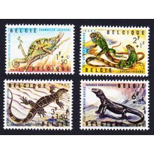 Belgium Chameleon Iguana Lizard Reptiles of Antwerp Zoo 4v 1965 MNH