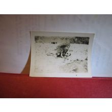 UNDER A PARASOL WITH THE DOG small photograph 1930s =