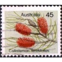 Australia 1975 45c Value. Wild Flowers, Callistemon Teretifolius. Fine Used