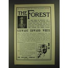 1903 The Forest Book by Stewart Edward White Ad - Author of Blazed Trail