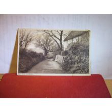 SEA HILL, CHIDEOCK, DORSET unused antique postcard by T D Ralson =