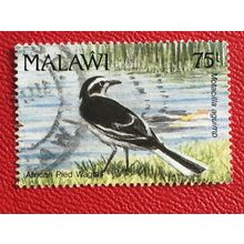 Malawi 1992 Birds 75t African Pied Wagtail Used SG 895 Sc 598 postage stamp