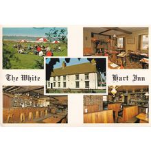 The White Hart Inn Halesworth Norfolk Postcard