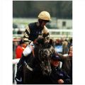 Horseracing photo ARCALIS GRAHAM LEE Cheltenham...