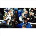 Racing photo - CRIMSON PALACE Frankie Dettori Y...