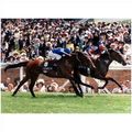 PRESS PHOTO AMONG MEN beats KAHAL Royal Ascot 97