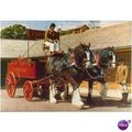 GB Postcard - Courage Shire Horse Centre, Maide...