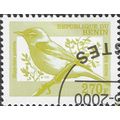 BENIN, BIRD, Eastern Olivaceus Warbler, yellow-...