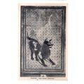 CAVE CANEM, (mosaico), Pompeii, Italy unused vi...