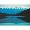 Gros bisous de loin France Postcard used VGC