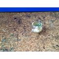 Glass Fish Bowl with 'White fish' 1:12th scale ...