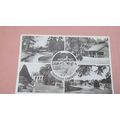 Tokim Postcard - Trentham Garden scenes, Stoke ...