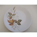 Washington Pottery - Autumn Leaves - Side Plate