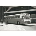 Black & White Photograph of Northampton Corpora...