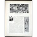 TRANSPORTING MELODY - FAIRLIGHT GLEN 1893 John ...