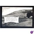 Wiltshire WESTBURY White Horse Postcard by Vale...