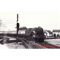 Railway Photo LNER A3 60039 Sandwich York Norse...