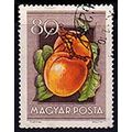 Hungary 1954 Fruit 80f Used Stamp