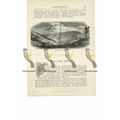 Mary Knoll Valley, Shropshire, Book Illustratio...