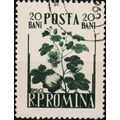 Romania. 1955 20b S.G.2406 Used