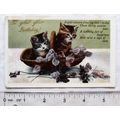 vintage postcard To Greet Your Birthday - Kittens