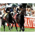 PRESS PHOTO ANABAA (Freddie Head) July Cup Newm...