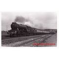 Railway Photo LNER A3 60039 Sandwich Wymondley ...