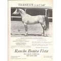 rancho bonita vista 1972 traseyn ferseyn auwil ...