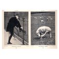 LILLIPUT MAGAZINE, JUNE, 1938 pic..used postcar...