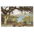 TARBET PIER, LOCH LOMOND used postcard 1968 pos...