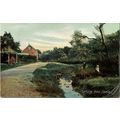 NATIONAL SERIES CARD NORWICH 1909 IDYLLIC RURAL...