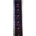VAMPIRES. Pk MTP - b045s . 1 STRIP OF 5 - 35MM ...