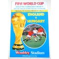 England v Hungary World Cup Qualifying Football...