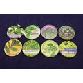 Set Of 8 Plant Herb Kitchen Garden 1.25” Button...