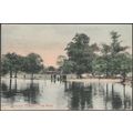 The Pond, Clapham Common, London, 1904 - H Alwi...