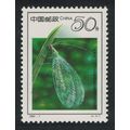 China Lacewing 'Chrysopa septempunctata' Insect...