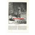 'Pry' The Avenging Ratter (Dog), Book Illustrat...