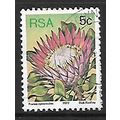 SOUTH AFRICA 1977 SUCCULENTS 5c P CYNAROIDES SG...