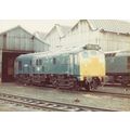 Railway Photo BR Class 25 25006 Eastfield Depot...