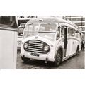 Black & White Photograph of Southern National O...