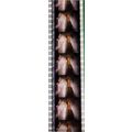DAVID BOWIE. Pk MTP - 024x . 1 STRIP OF 5 - 35M...