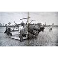 FIELD WORK DURING THE WAR 1915 Louis Rémy Sabat...